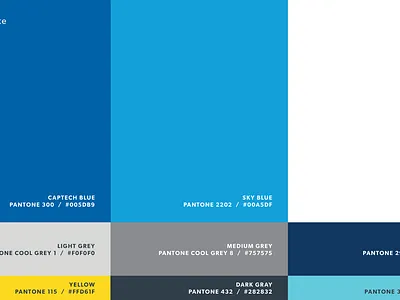 Color Palette colors pantone styleguide