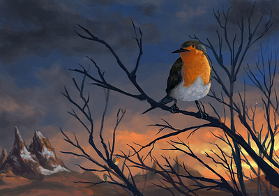 Robins art concept concept art design illustration landscape