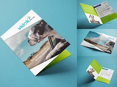 Vidok Pet Trip editorial design folder print