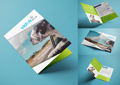 Vidok Pet Trip editorial design folder print