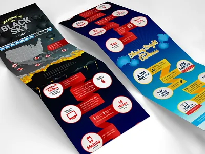 American Red Cross Infographic 2017 design disaster illustration illustration art infographic infographic design infographics organization usa