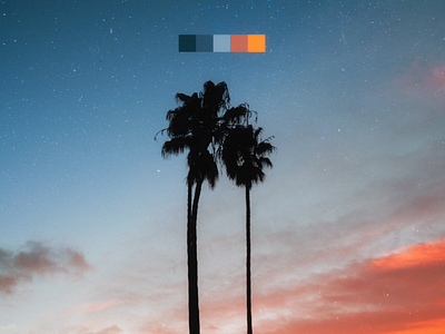 Color palettes in the wild art california color color palette design graphic design