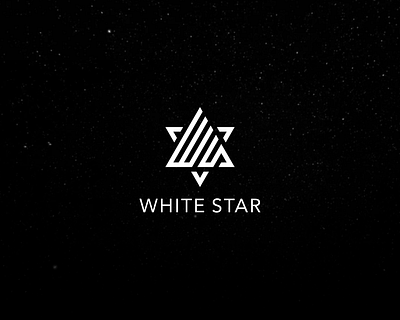 ws branding design flat identity lettering logo minimal simple typography vector