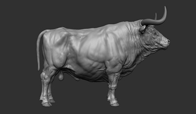 Bull digitalsculpting sculpt zbrush