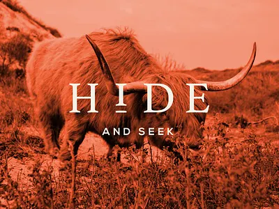 Hide - Social Graphic branding design identity logo social media type