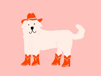 Cowboy Dog! animals cowboy cowboy boots cowboy hat cowboys dog dog illustration hat illustration procreate puppy