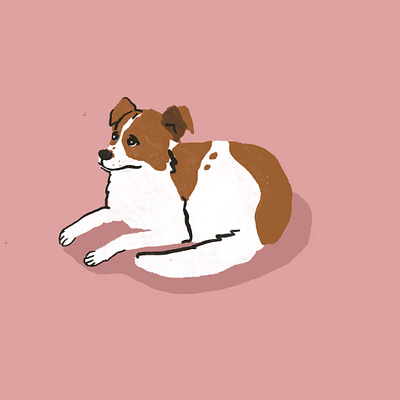 Guilty Pupper Doggo cute animals dog illustration procreate