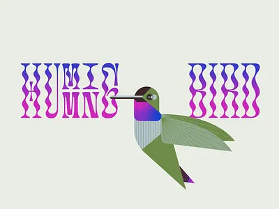 hummingbird aviary beak bird design feather flight fly green hummingbird illustration typography wing