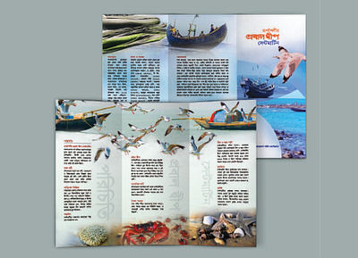 bruiser design bangladeshi bruiser design bangladeshi nature beautiful nature brochure design bruiser design coral island famous creative design graphic design bangladesh illustration probal dip bruiser design saint martin island try fold bruiser