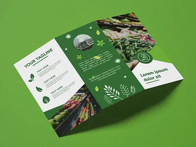 Brochure Design Green brochure brochure design creative creativity design designer flyer flyer design minimal modern shop trifold brochure typography
