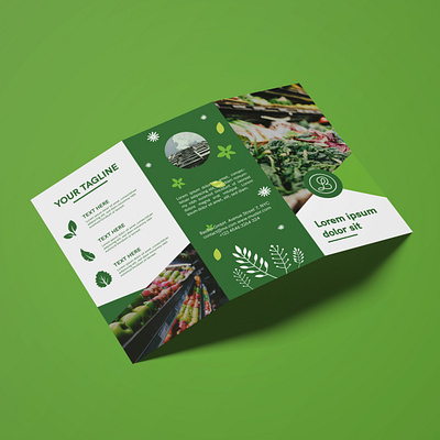 Brochure Design Green brochure brochure design creative creativity design designer flyer flyer design minimal modern shop trifold brochure typography