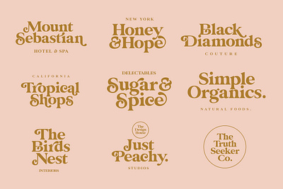 Glamour Absolute Modern/Vintage Font absolute branding elegant fonts font font design fonts fonts collection glamour lettering logo modern sans serif sans serif font sans serif fonts serif font serif fonts serif typeface typeface typography vintage