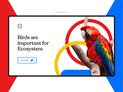 Birdy website design dribbble minimal simple trending typography ui uidesign ux website