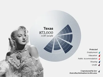 Unprotected by Laws collage collageart data visualization data viz datavisualization dataviz design illustration infographic retro