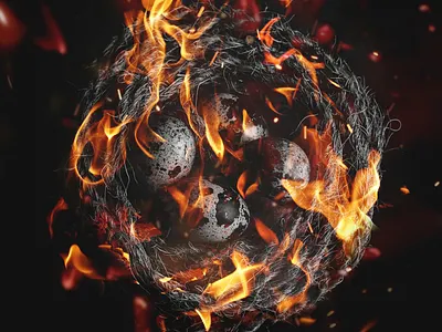 Australia's Wildfires • The Nest in The Fire animals artwork australia birds bushfire bushfires colour design donate fire fires help home illustration nest photomanipulation poster prayforaustralia rope save