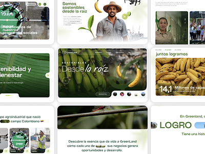 GreenLand I Elevando la Experiencia con un rediseño UX landingpage sustainability ui ux webdesign