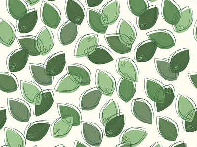 Eucalyptus eucalyptus graphic design illustration nature plant
