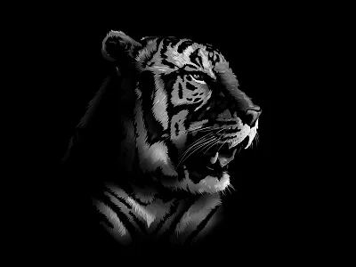 Tiger Illustration artist artwork illustration illustrator photoshop tiger