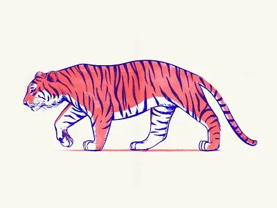 TIGERISO 2 colors animal drawing hand drawn illustration riso risograph tiger walk wildcat