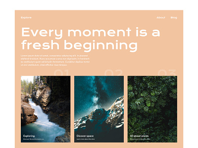 Exploring branding explore illustration layout layout design photo photo book street art typography ui uidesign vector visual