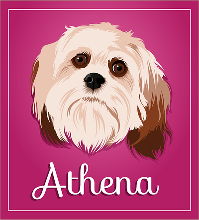 athena adobe illustrator