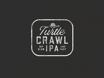 Turtle Crawl branding design