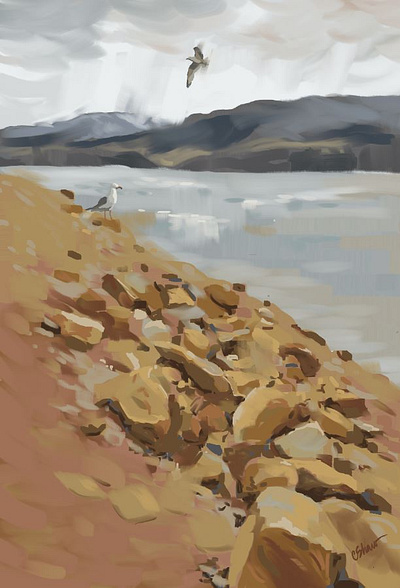 Horsetooth Hunters clouds conceptart digital painting environment art horsetooth reservoir lakes landscape seagulls wildlifeart