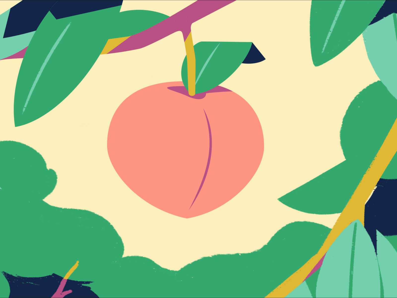 Grab dat Peach 2d aftereffects animation flat illustration mograph motion design photoshop squirrel 🍑