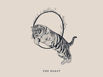 The Beast acrobat animal animal illustration beast big cat big cats circus clean coffee coffee shop design digital digital illustration drawing graphic illustration minimal tiger typography