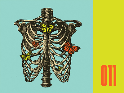 Everyday - 011 bones butterflys everyday photo illustration ribcage