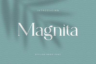 MAGNITA Serif Font classic clean display font elegant fashion feminine fonts layout lettering logo luxury magazine minimal presentation roman sanserif serif