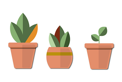 plants in my living room adobe adobe illustrator brown design flat green icon illustration illustrator minimal plants type vector