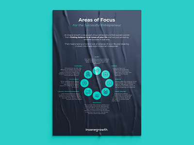 Infographic for insanegrowth brand design brand identity branding corporate design design icons infographic infographic design infographics logo logodesign logotype mark poster poster design typography vector