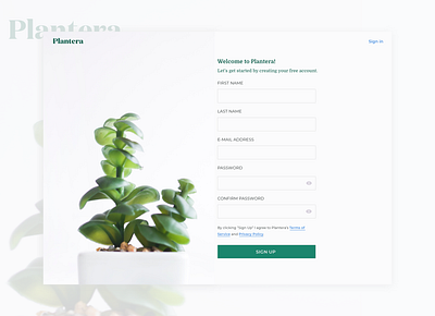 Sign Up Page color pallet design ui ui challenge ui daily ux web