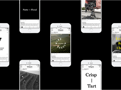 Wine Access app art brand design brand identity branding content creation content design design inspiration instagram logo website
