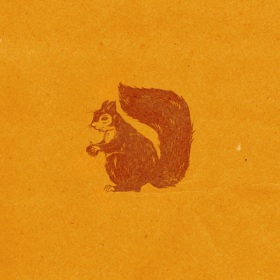 Squirrel Illo illustration procreate retro texture