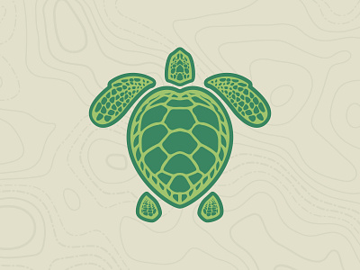 Loggerhead Sea Turtle Illustration animal art branding design digital flat flat design flat illustration illustration logo turtle vector