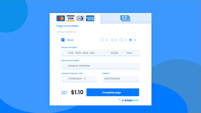 Payment Form UI Design dashboard design design form design ui uidesign ux uxdesign web webdesign