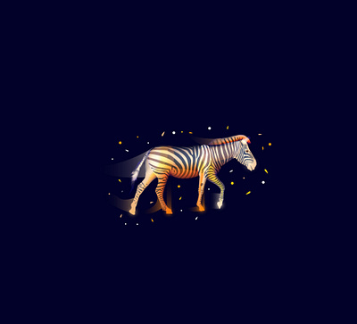 Illustration from the collection "Fantasy Africa" africa branding design graphicdesign illustration vector zebra