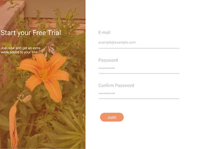 The Blossom design figma figmadesign first design first post first shot illustration lambda signup sketch ux web
