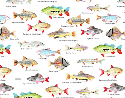 Fish print animals design fashion fish illustration nature pattern pattern design print textile textile design textiles watercolor