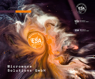 ESA branding branding design illustration logo
