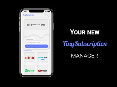 TinySubscription app clean concept concept design design flat icon minimal neomorphism ui ux vector
