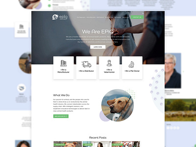 EPiQ Animal Health Website animal blue clean dallas green health illustration jonathan silverberg layout layouts pattern ui ui design ux vet veterinarian veterinary web web design