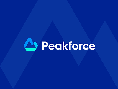 Peakforce branding data force geometric hill identity logo modern mountain nature outdoor outdoors peak software symbol technology