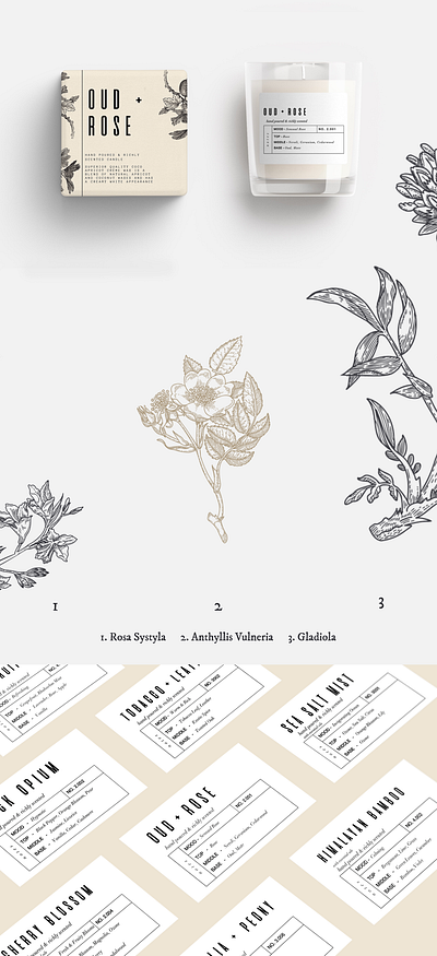 Luxury Candle Branding & Elements botanical branding candle candles design floral labels product typography vintage