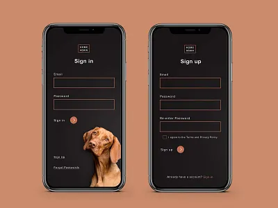Sign Up UI app daily ui dailyui design ui
