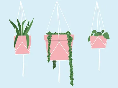 plants 2d design green hanging plant illustration illustration art illustrator nature plants vector