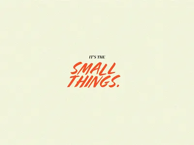 it's the SMALL THINGS handwritten orange red small small things things type typography