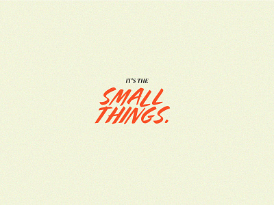 it's the SMALL THINGS handwritten orange red small small things things type typography